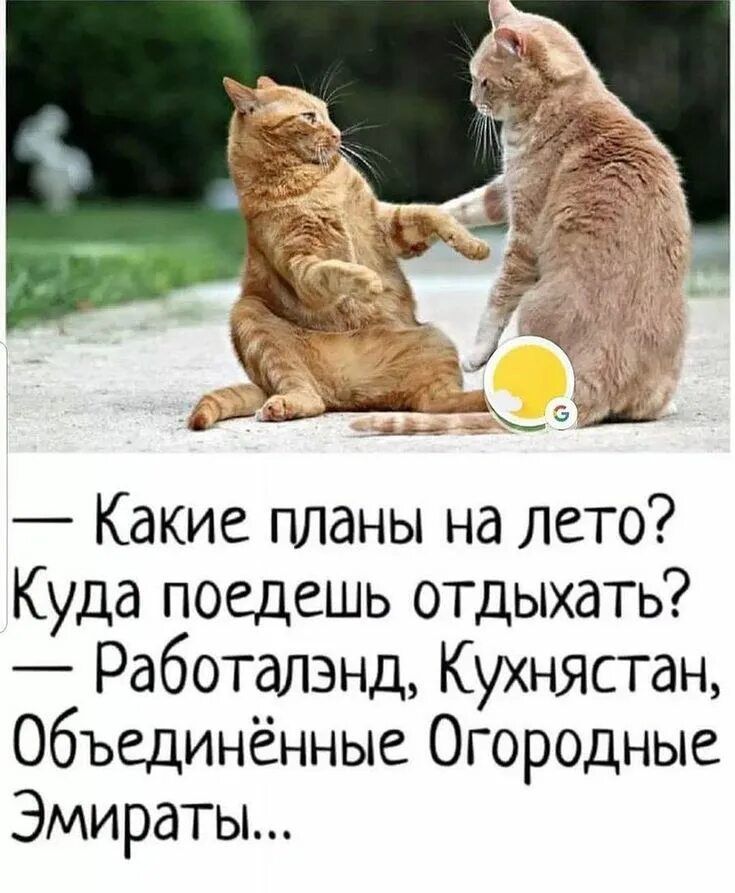 — Какие планы на лето? Куда поедешь отдыхать?
— Работалэнд, Кухнястан, Объединённые Огородные Эмираты...
