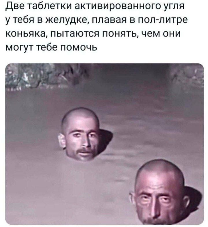 Две таблетки активированного угля у тебя в желудке, плавая в пол-литре коньяка, пытаются понять, чем они могут тебе помочь