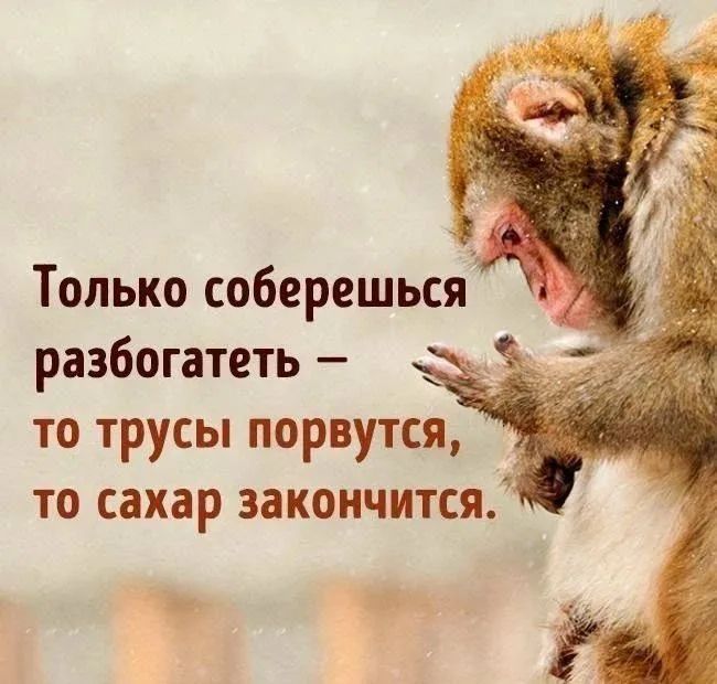 Только соберешься разбогатеть — то трусы порвутся, то сахар закончится.