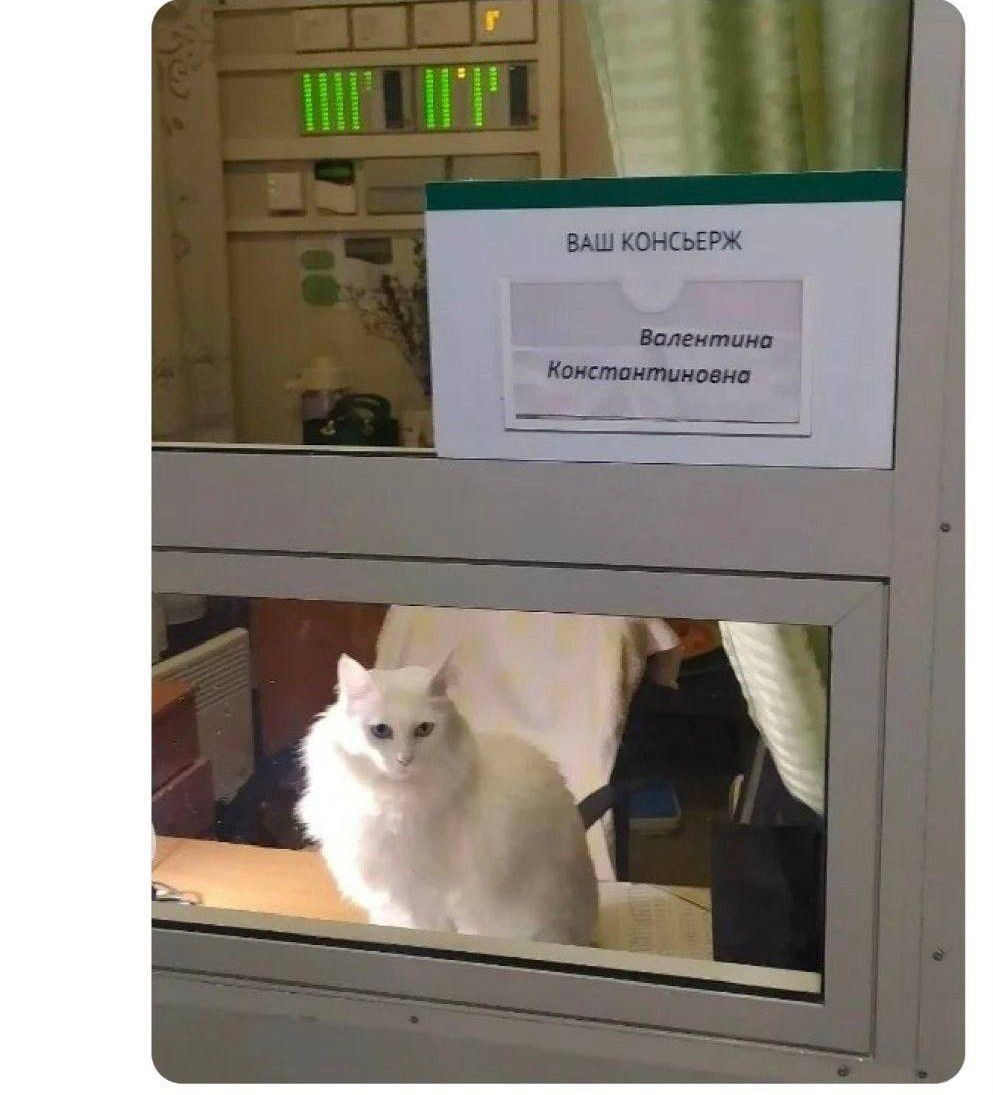 ВАШ КОНСЬЕРЖ Валентина Константиновна