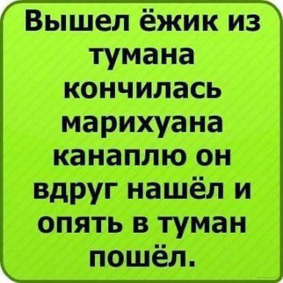 Вышел ёжик из тумана кончилась марихуана коноплю он вдруг нашёл и опять в туман пошёл.