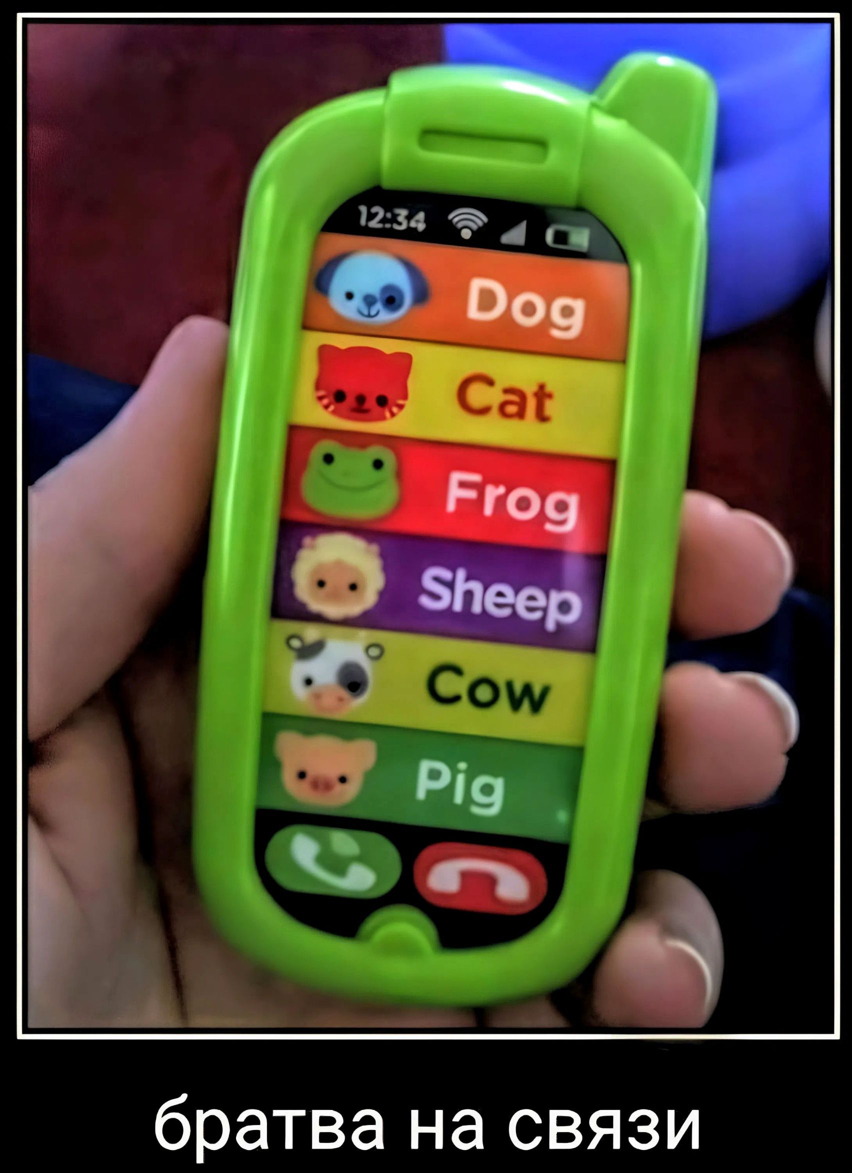 12:34 Dog Cat Frog Sheep Cow Pig братва на связи