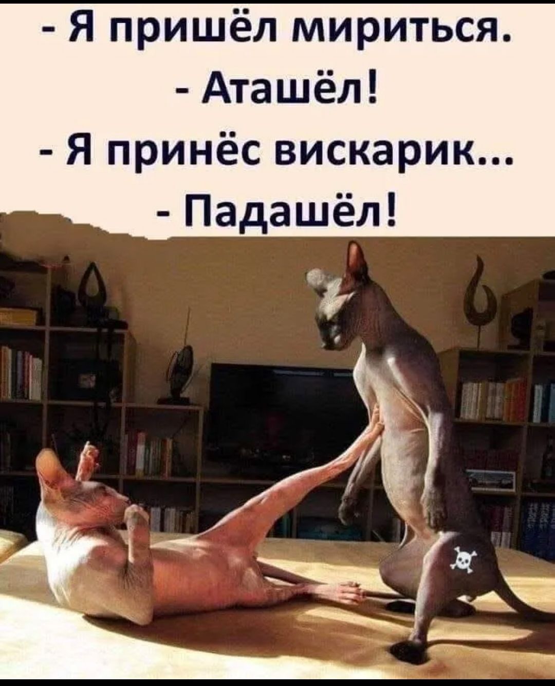 - Я пришёл мириться.
- Аташёл!
- Я принёс вискарик...
- Падашёл!