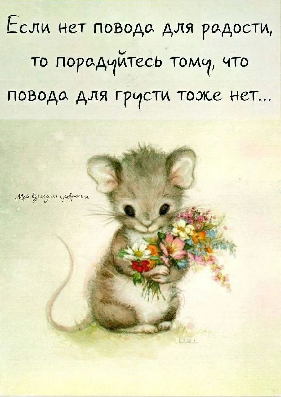 Если нет повода для радости, то порадуйтесь тому, что повода для грусти тоже нет... Мой взгляд на прекрасное