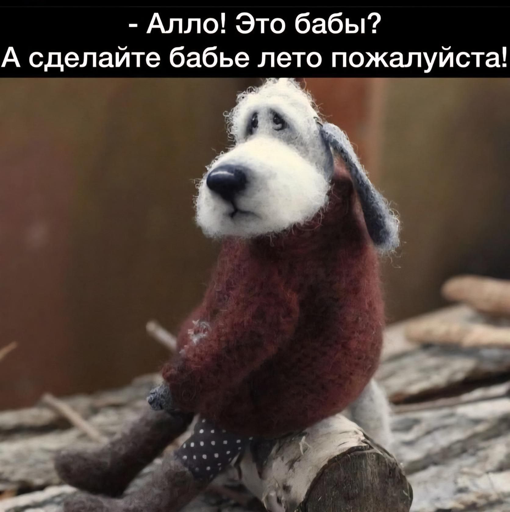Алло! Это бабы? А сделайте бабье лето пожалуйста!