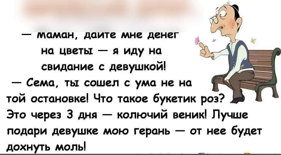 — маман, дайте мне денег на цветы — я иду на свидание с девушкой!
— Сема, ты сошел с ума не на той остановке! Что такое букетик роз? Это через 3 дня — колючий веник! Лучше подари девушке мою герань — от нее будет дохнуть моль!