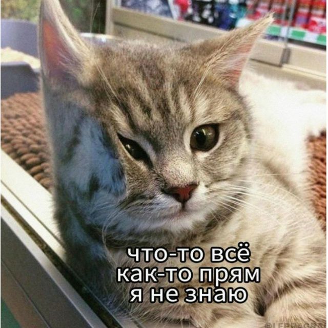 ЧТО-ТО ВСЁ КАК-ТО ПРЯМ Я НЕ ЗНАЮ