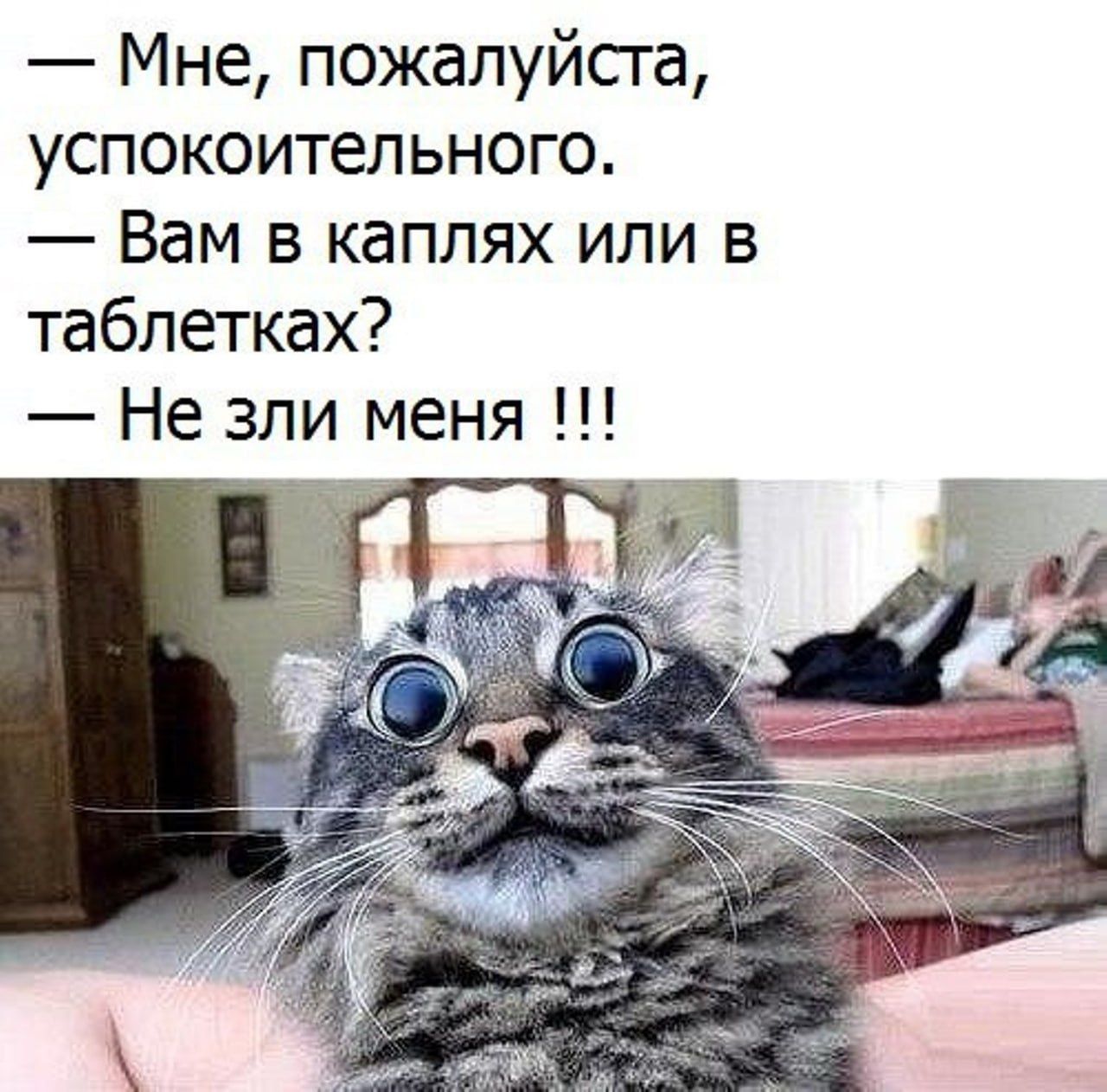 — Мне, пожалуйста, успокоительного. — Вам в каплях или в таблетках? — Не зли меня !!!