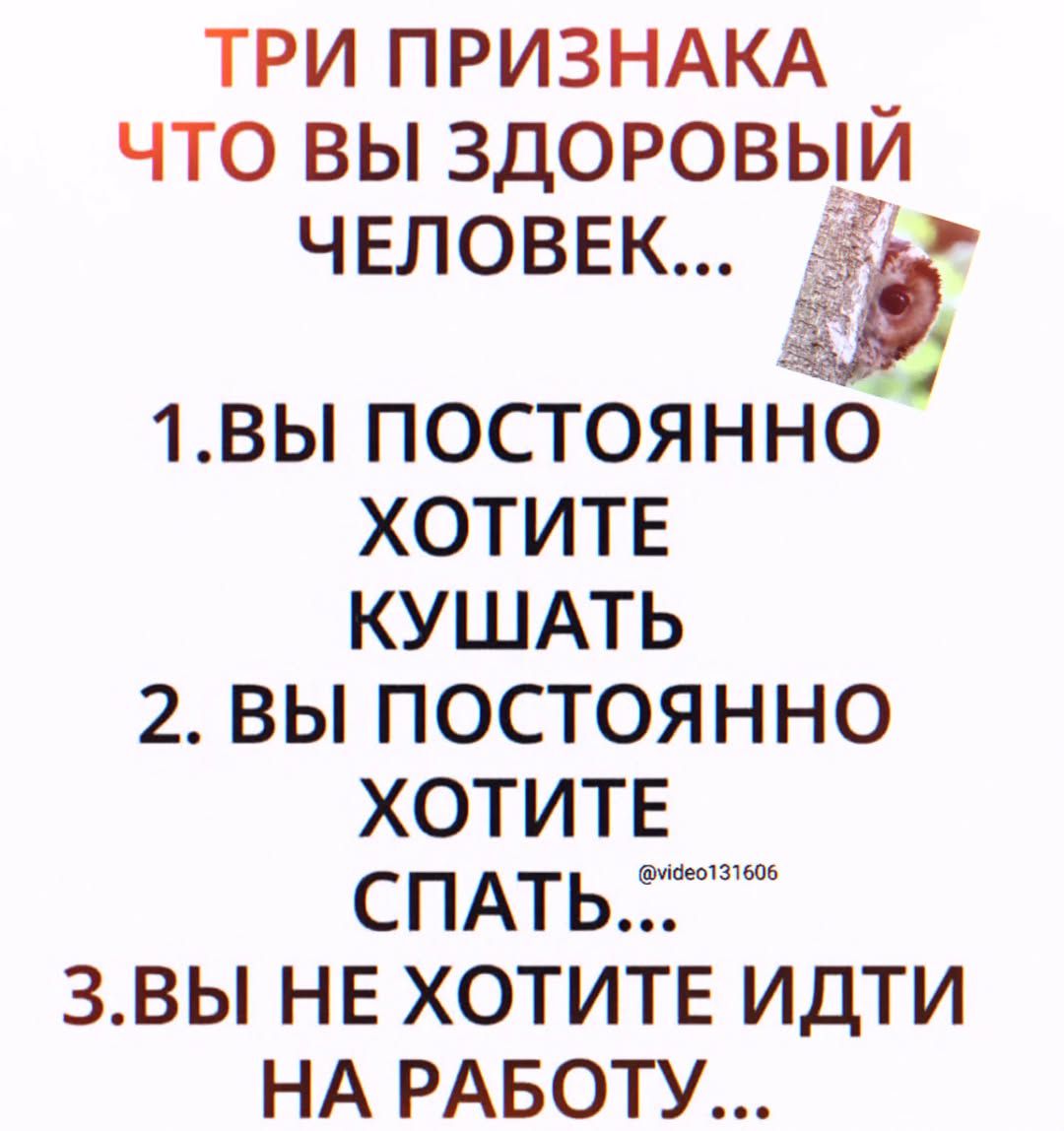 ТРИ ПРИЗНАКА ЧТО ВЫ ЗДОРОВЫЙ ЧЕЛОВЕК... 1.ВЫ ПОСТОЯННО ХОТИТЕ КУШАТЬ 2. ВЫ ПОСТОЯННО ХОТИТЕ СПАТЬ... @video131606 3.ВЫ НЕ ХОТИТЕ ИДТИ НА РАБОТУ...