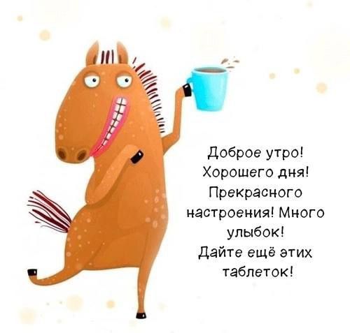 Доброе утро! Хорошего дня! Прекрасного настроения! Много улыбок! Дайте ещё этих таблеток!