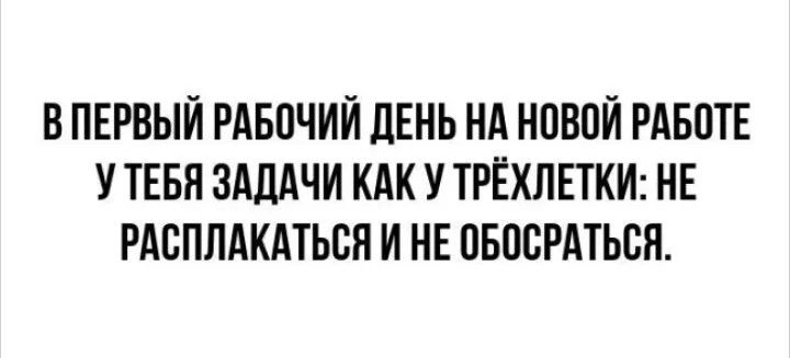 В ПЕРВЫЙ РАБОЧИЙ ДЕНЬ НА НОВОЙ РАБОТЕ У ТЕБЯ ЗАДАЧИ КАК У ТРЁХЛЕТКИ: НЕ РАСПЛАКАТЬСЯ И НЕ ОБОСРАТЬСЯ.