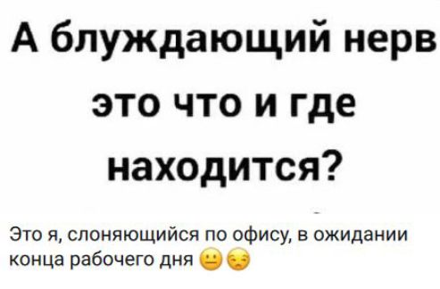 А блуждающий нерв это что и где находится? Это я, слоняющийся по офису, в ожидании конца рабочего дня 😟😩