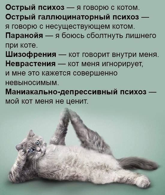 Острый психоз — я говорю с котом.
Острый галлюцинаторный психоз — я говорю с несуществующим котом.
Паранойя — я боюсь сболтнуть лишнего при коте.
Шизофрения — кот говорит внутри меня.
Неврастения — кот меня игнорирует, и мне это кажется совершенно невыносимым.
Маниакально-депрессивный психоз — мой кот меня не ценит.