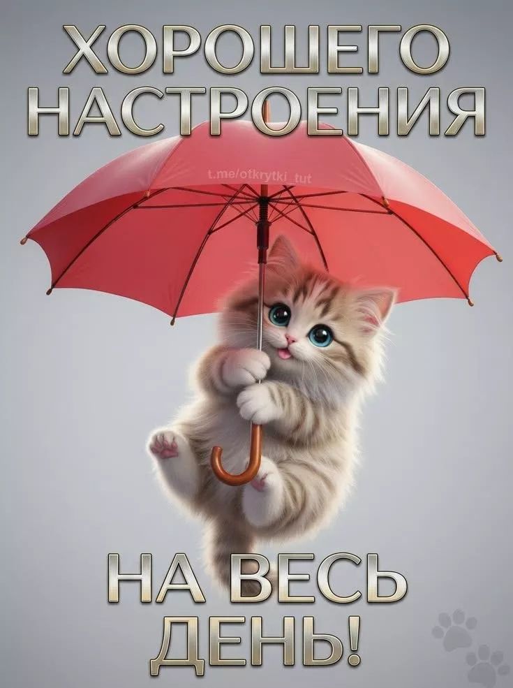 ХОРОШЕГО НАСТРОЕНИЯ НА ВЕСЬ ДЕНЬ!