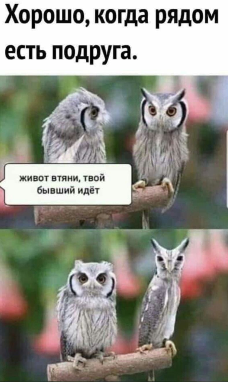 Хорошо, когда рядом есть подруга. живот втяни, твой бывший идёт