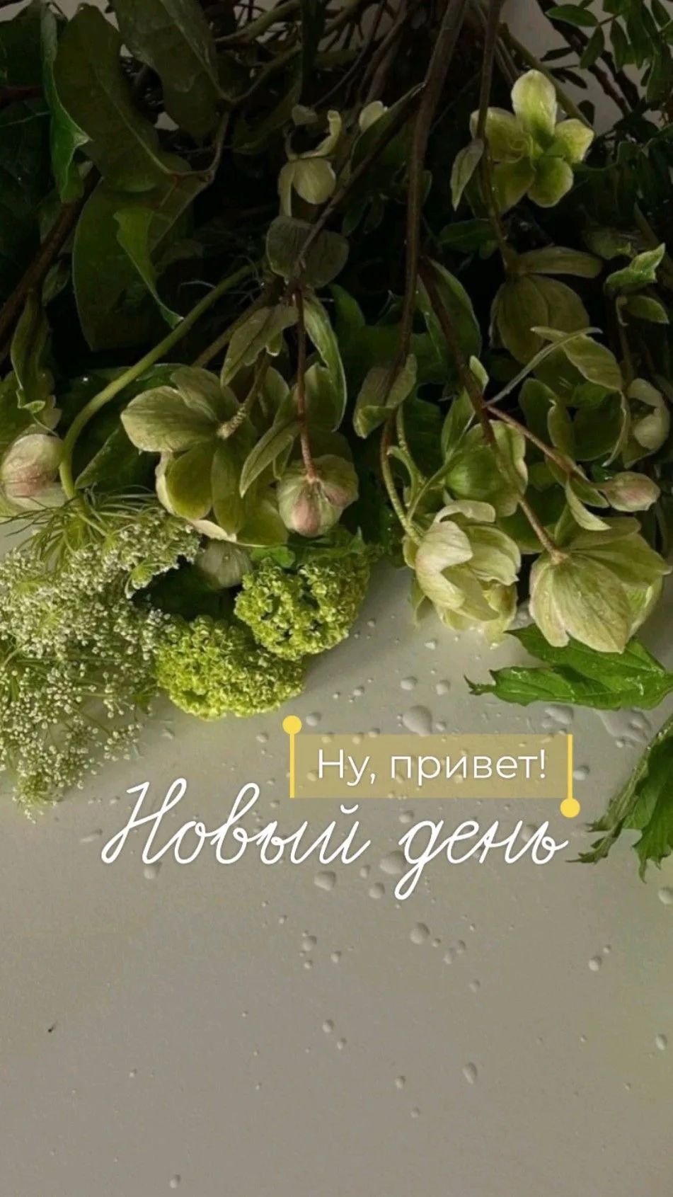 Ну, привет! Новый день