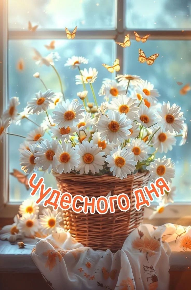 Чудесного дня