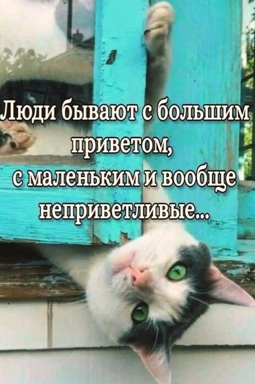 Люди бывают с большим приветом, с маленьким и вообще неприветливые...