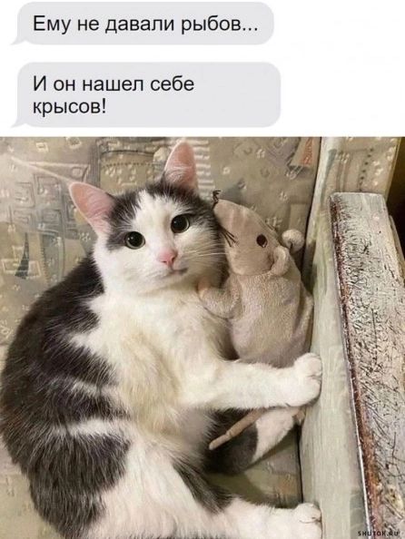 Ему не давали рыбов... И он нашел себе крысов!
