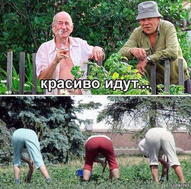 красиво идут...