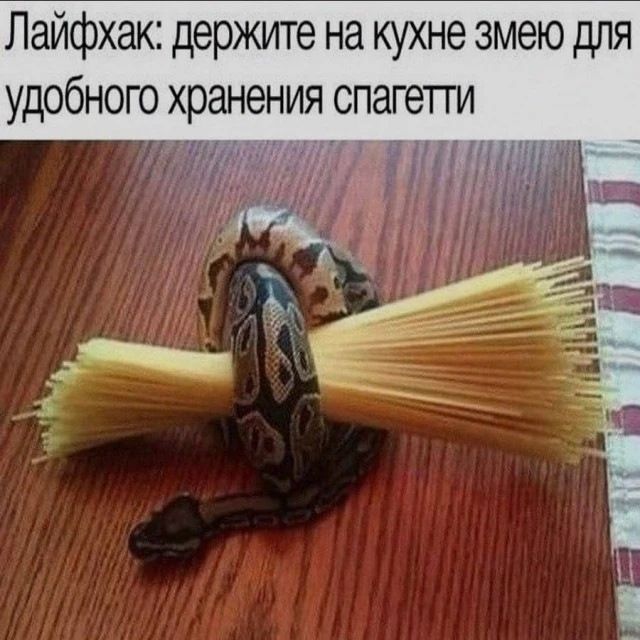 Лайфхак: держите на кухне змею для удобного хранения спагетти
