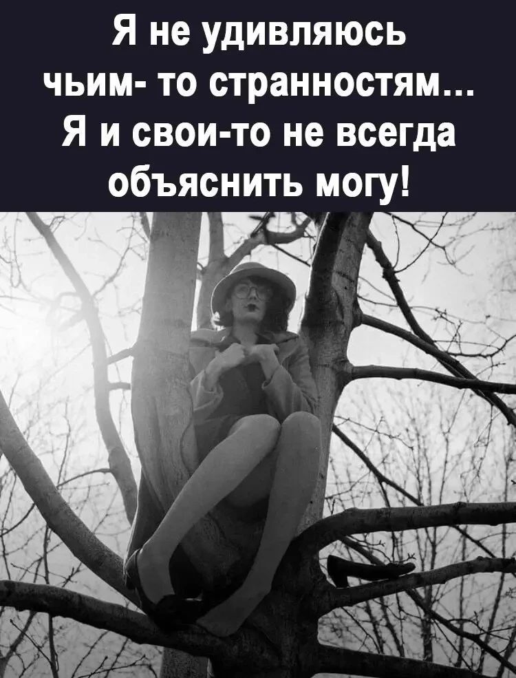 Я не удивляюсь чьим-то странностям... Я и свои-то не всегда объяснить могу!