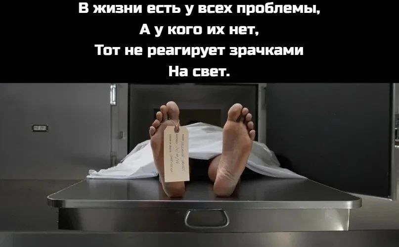 В жизни есть у всех проблемы, А у кого их нет, Тот не реагирует зрачками На свет.