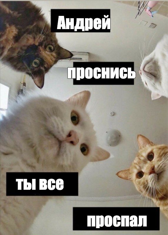 Андрей проснись ты все проспал