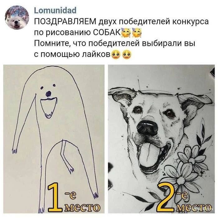 Lomunidad ПОЗДРАВЛЯЕМ двух победителей конкурса по рисованию СОБАК. Помните, что победителей выбирали вы с помощью лайков. 1-е место, 2-е место.