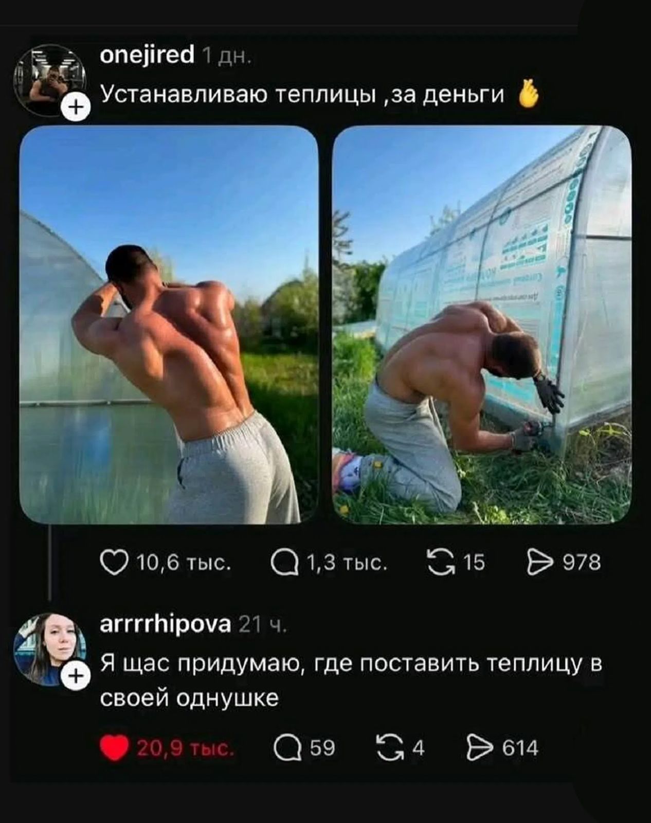 onejired Устанавливаю теплицы, за деньги. arrrrhipova Я щас придумаю, где поставить теплицу в своей однушке