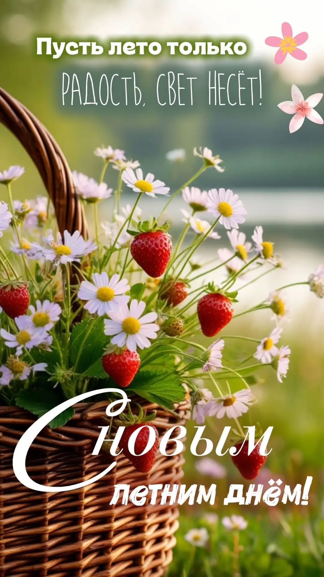 Пусть лето только радость, свет несёт! С новым летним днём!