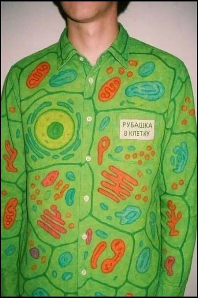 РУБАШКА В КЛЕТКУ