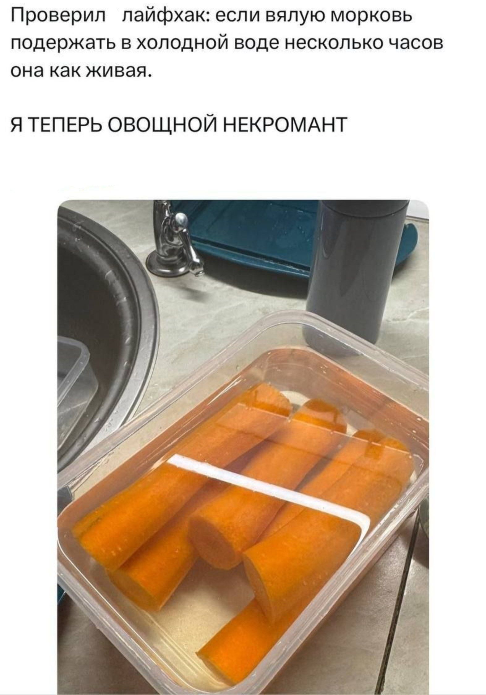 Проверил лайфхак: если вялую морковь подержать в холодной воде несколько часов она как живая. Я ТЕПЕРЬ ОВОЩНОЙ НЕКРОМАНТ