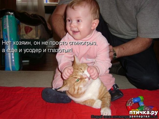 Нет хозяин, он не просто спиногрыз, а еще и усодер и глазотык!