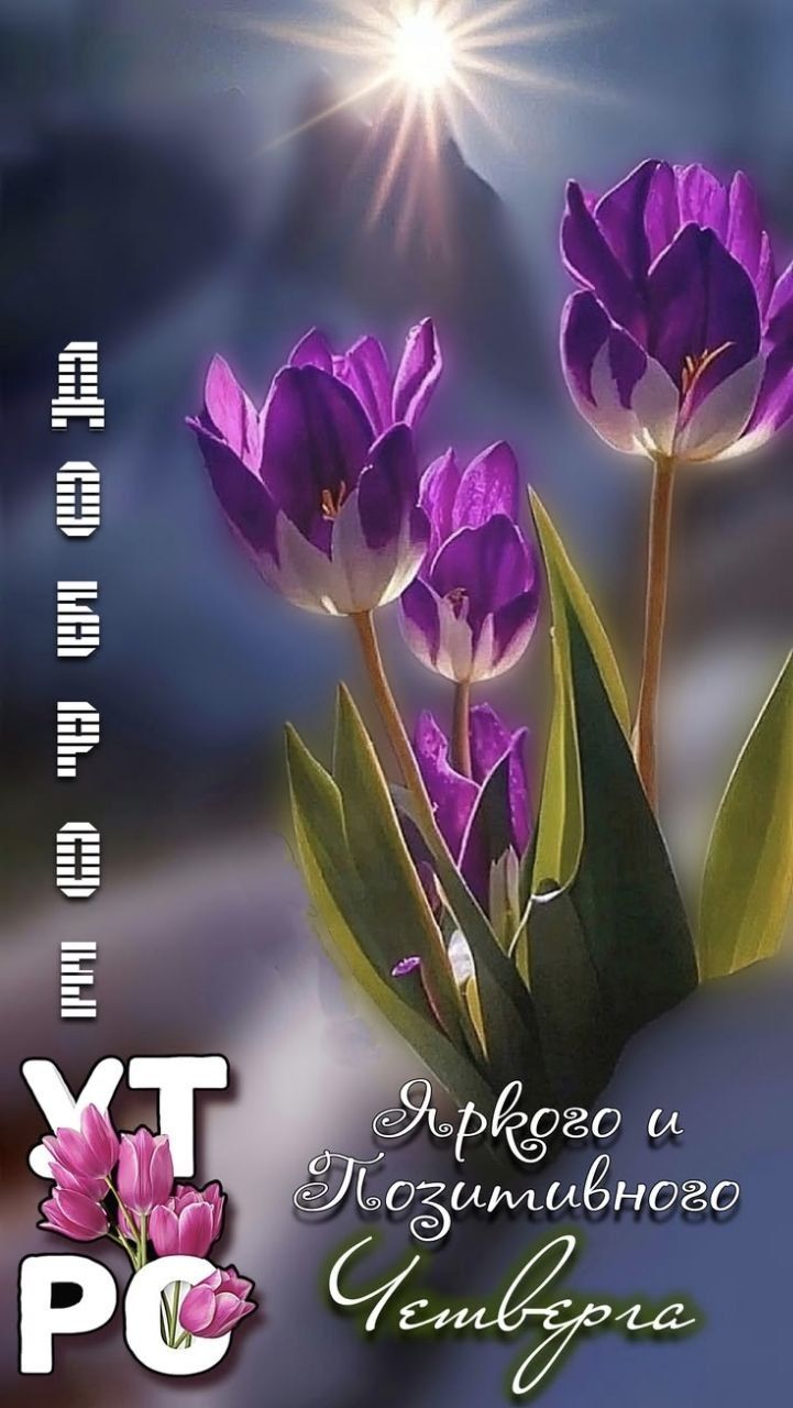 Доброе УТРО Яркого и Позитивного Четверга