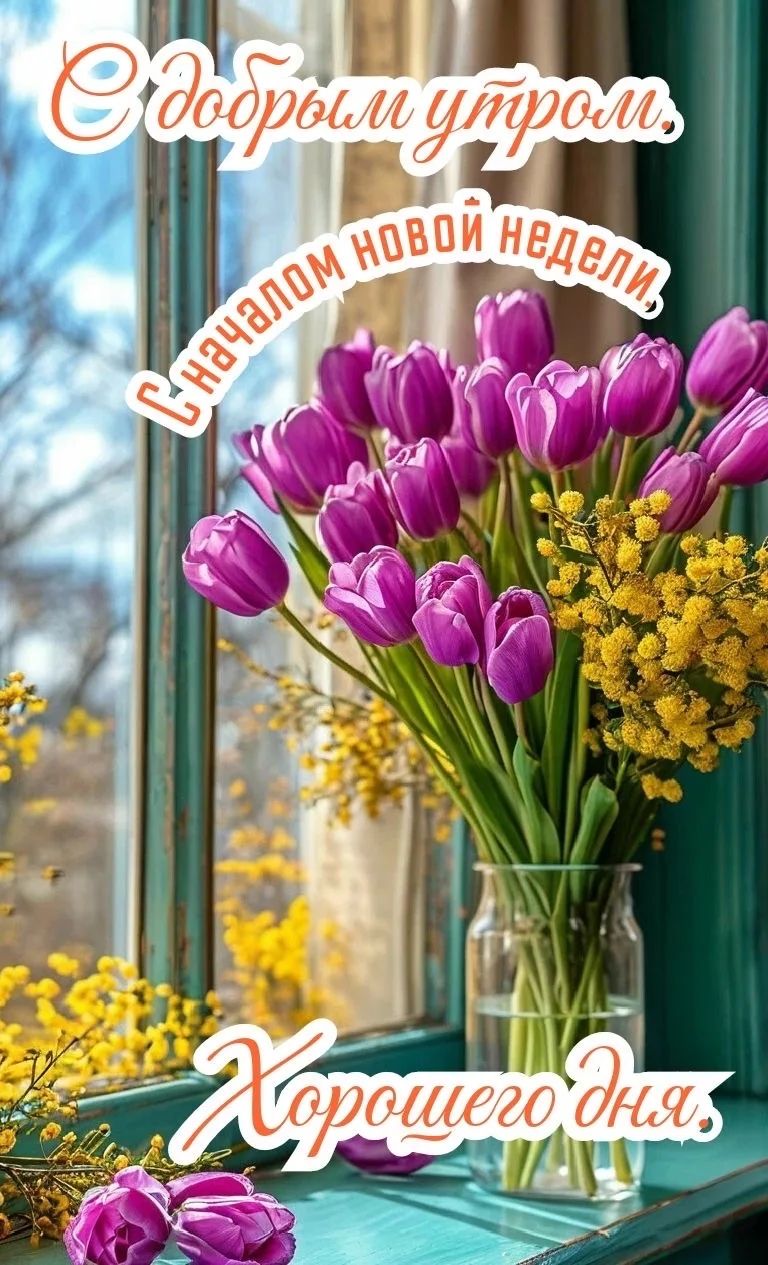 С добрым утром, С началом новой недели, Хорошего дня.
