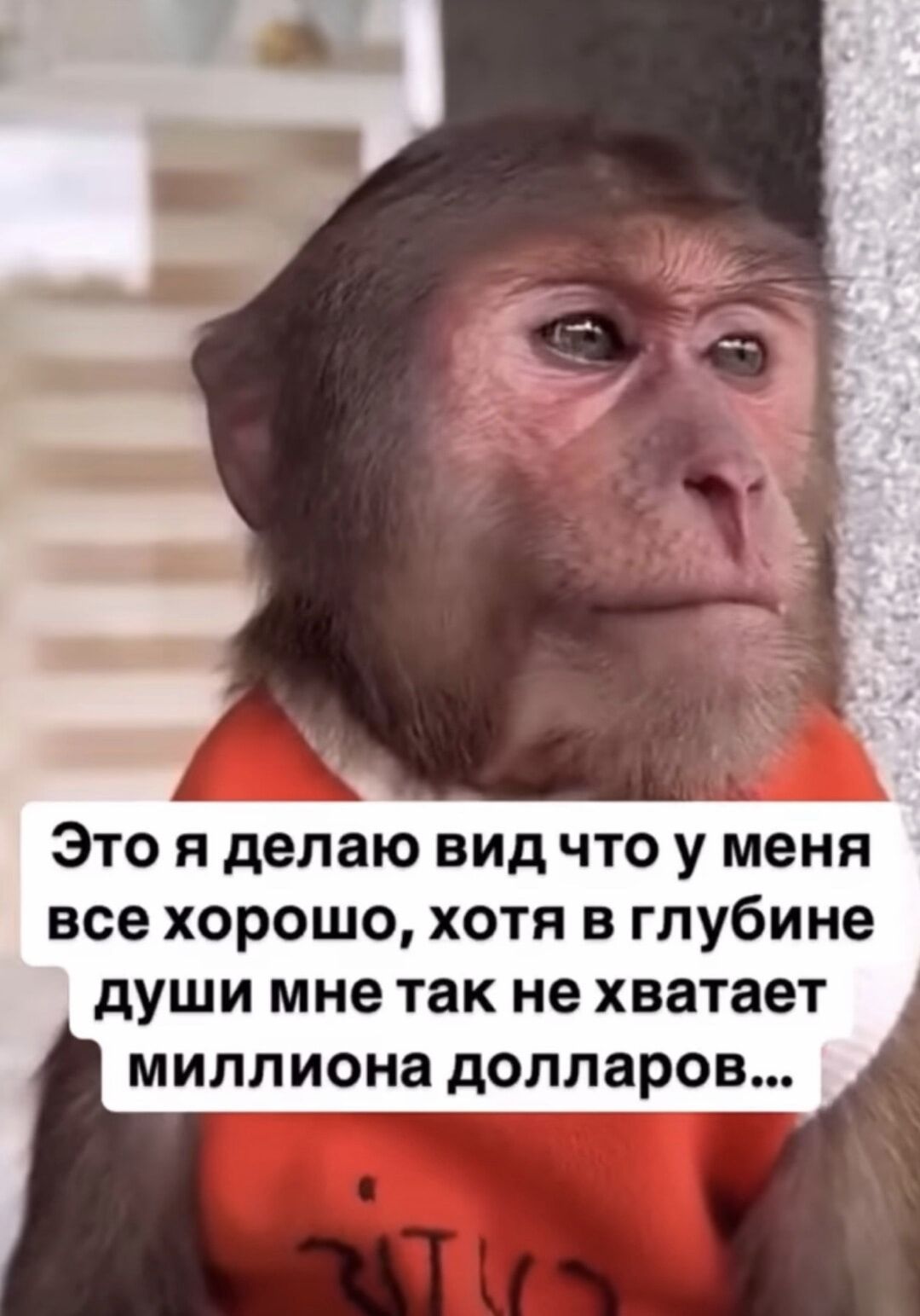 Это я делаю вид что у меня все хорошо, хотя в глубине души мне так не хватает миллиона долларов...