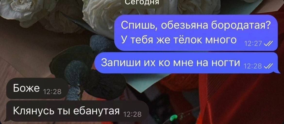 Спишь, обезьяна бородатая? У тебя же тёлок много. Запиши их ко мне на ногти. Боже. Клянусь ты ебанутая.