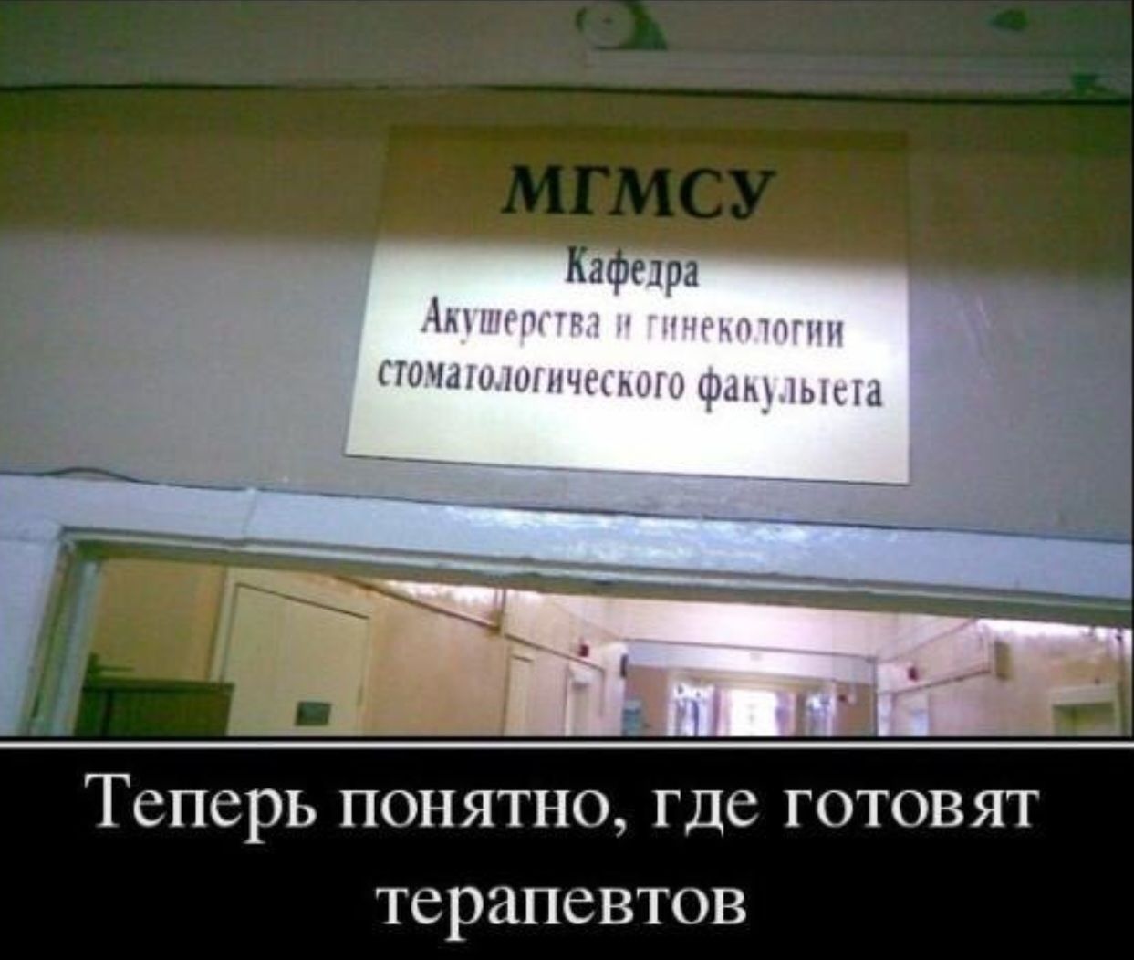 МГМСУ Кафедра Акушерства и гинекологии стоматологического факультета Теперь понятно, где готовят терапевтов