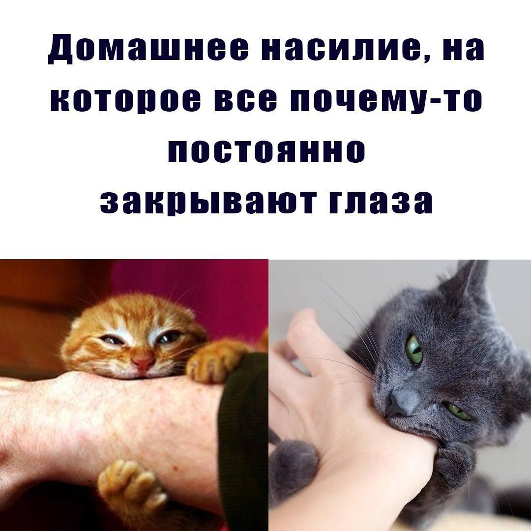 Домашнее насилие, на которое все почему-то закрывают глаза