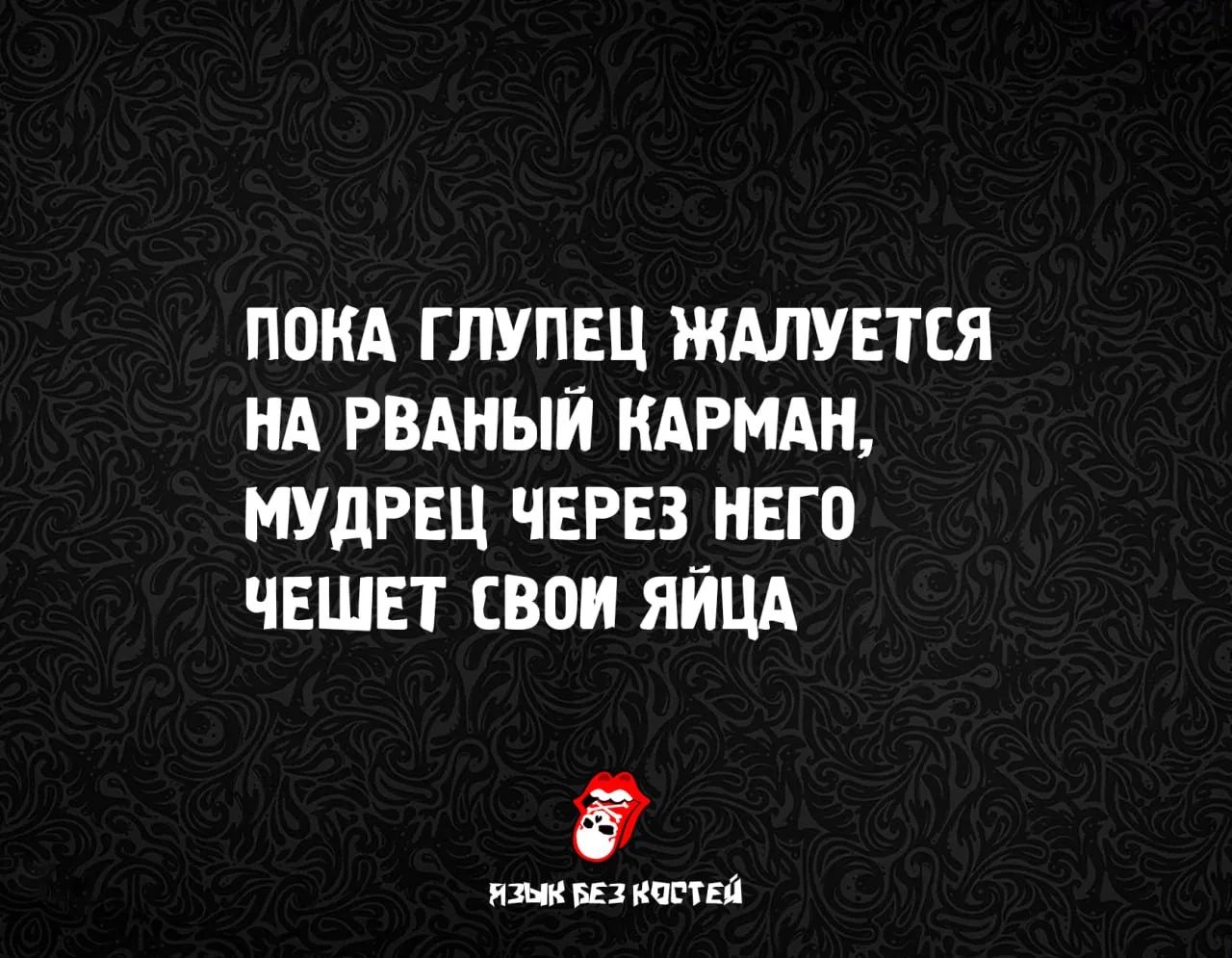 ПОКА ГЛУПЕЦ ЖАЛУЕТСЯ НА РВАНЫЙ КАРМАН, МУДРЕЦ ЧЕРЕЗ НЕГО ЧЕШЕТ СВОИ ЯЙЦА