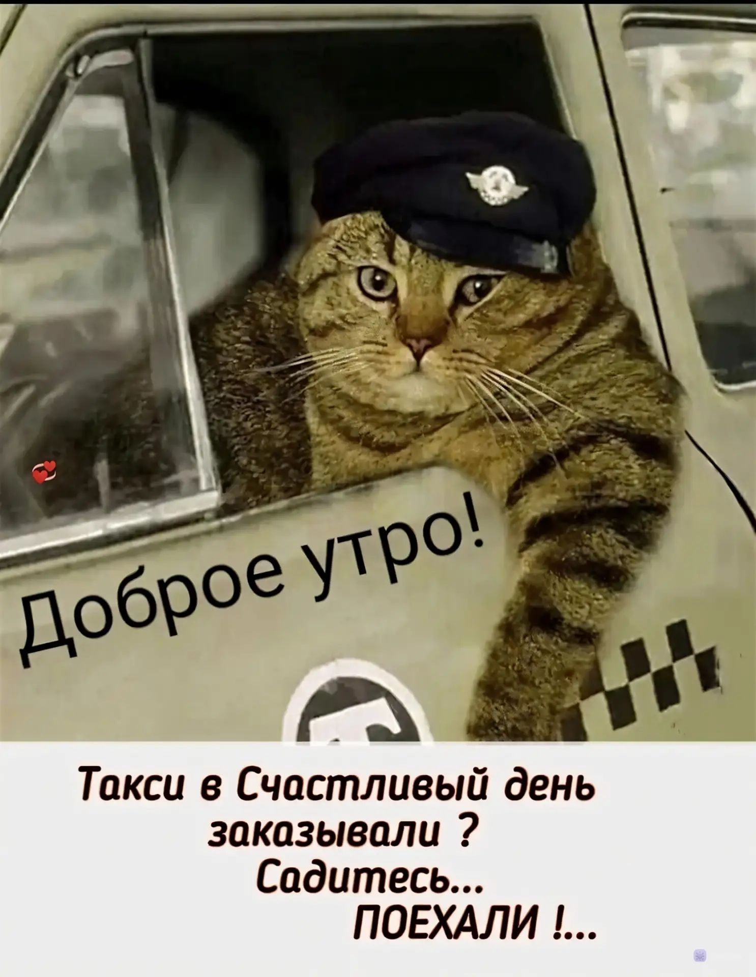 Доброе утро! Такси в Счастливый день заказывали? Садитесь... ПОЕХАЛИ!...