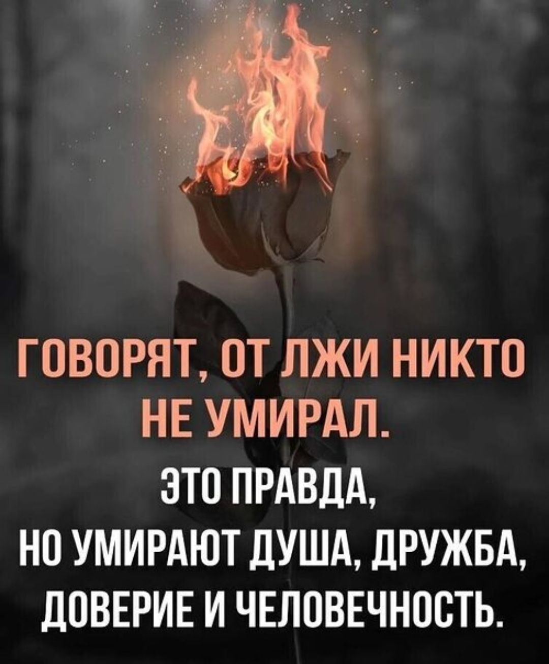 ГОВОРЯТ, ОТ ЛЖИ НИКТО НЕ УМИРАЛ. ЭТО ПРАВДА, НО УМИРАЮТ ДУША, ДРУЖБА, ДОВЕРИЕ И ЧЕЛОВЕЧНОСТЬ.