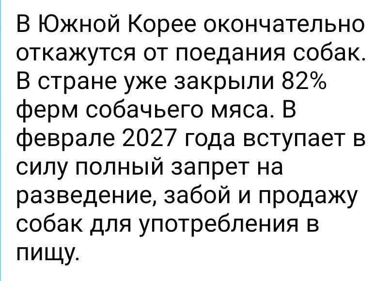 В Южной Корее окончательно откажутся от поедания собак. В стране уже закрыли 82% ферм собачьего мяса. В феврале 2027 года вступает в силу полный запрет на разведение, забой и продажу собак для употребления в пищу.