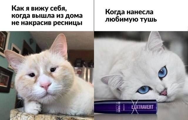 Как я вижу себя, когда вышла из дома не накрасив ресницы. Когда нанесла любимую тушь.