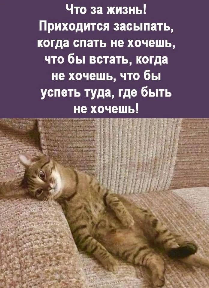 Что за жизнь! Приходится засыпать, когда спать не хочешь, что бы встать, когда не хочешь, что бы успеть туда, где быть не хочешь!