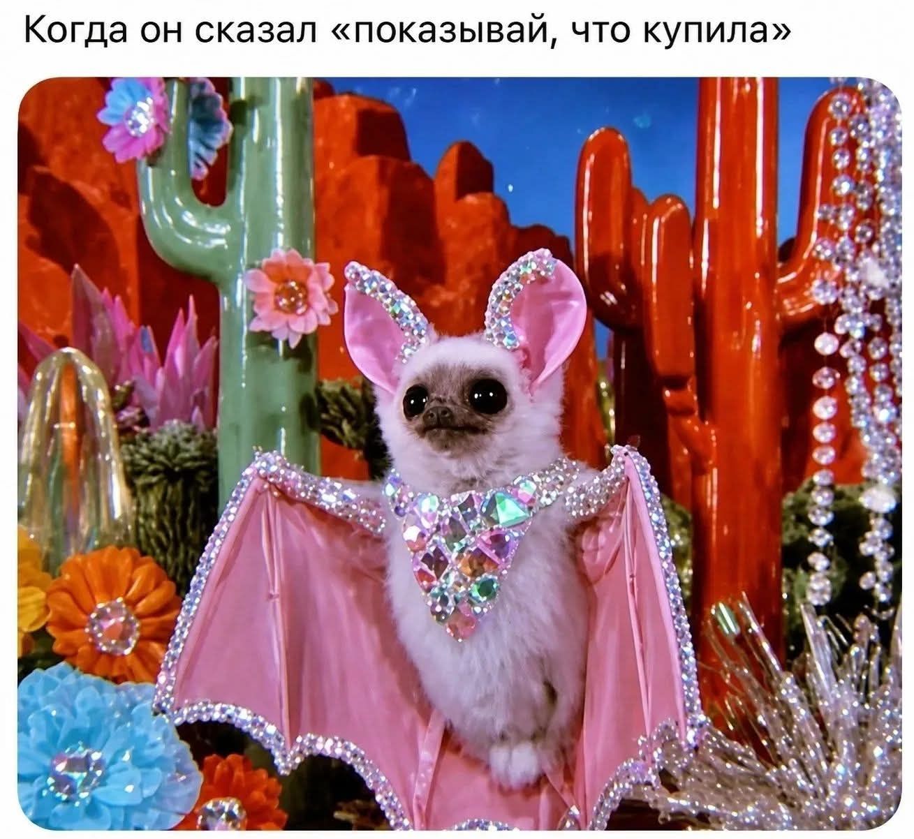 Когда он сказал «показывай, что купила»