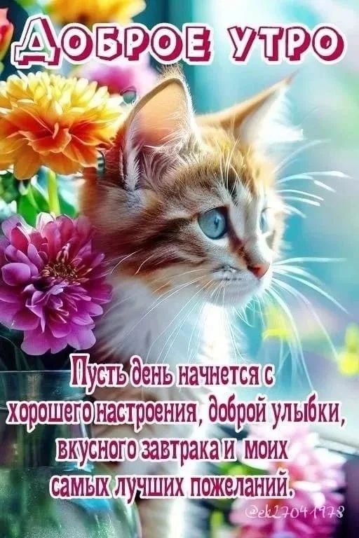 Доброе утро. Пусть день начнется с хорошего настроения, доброй улыбки, вкусного завтрака и моих самых лучших пожеланий.
