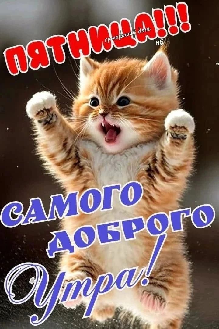 ПЯТНИЦА!!! гр хороший день нб САМОГО ДОБРОГО УТРА!