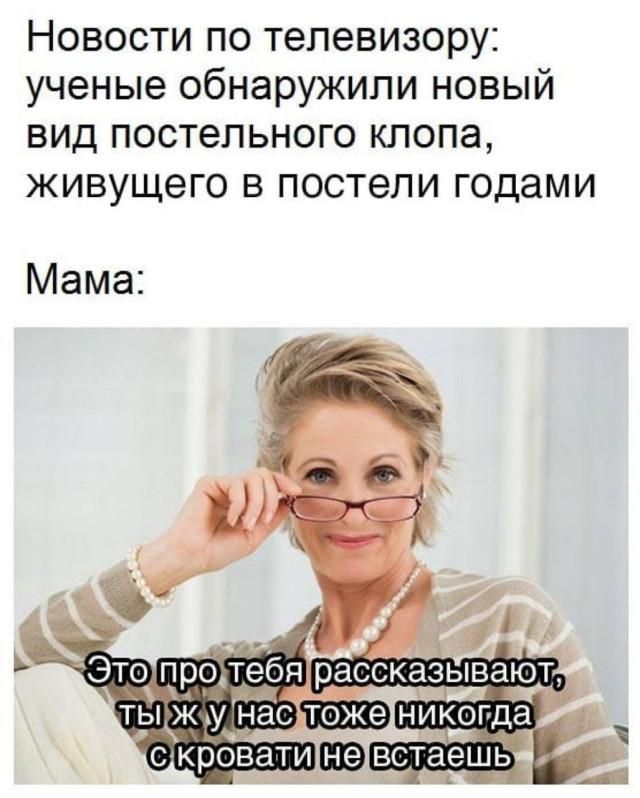 Новости по телевизору: ученые обнаружили новый вид постельного клопа, живущего в постели годами Мама: Это про тебя рассказывают, ты ж у нас тоже никогда с кровати не встаешь